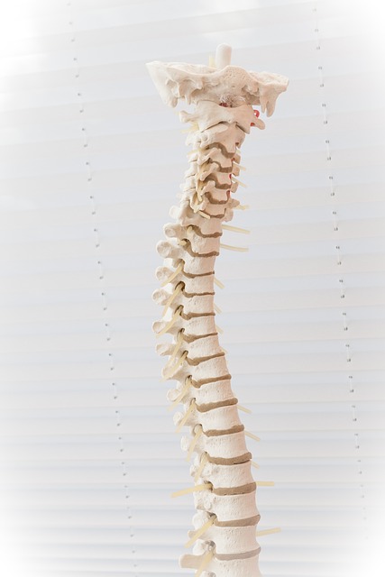 get rid of back discomfort by reading this piece 1