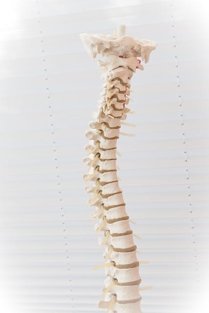 does back pain have you down read this