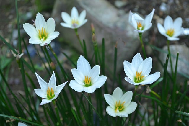 Ways To Make Your Day To Day Back Discomfort Less Painful ways to make your day to day back discomfort less painful